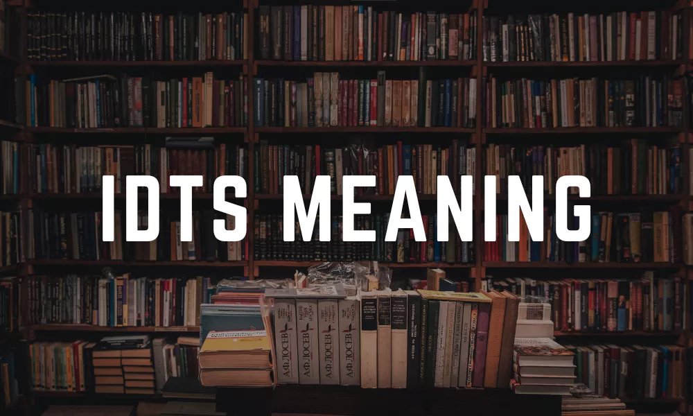 IDTS Meaning In Chat