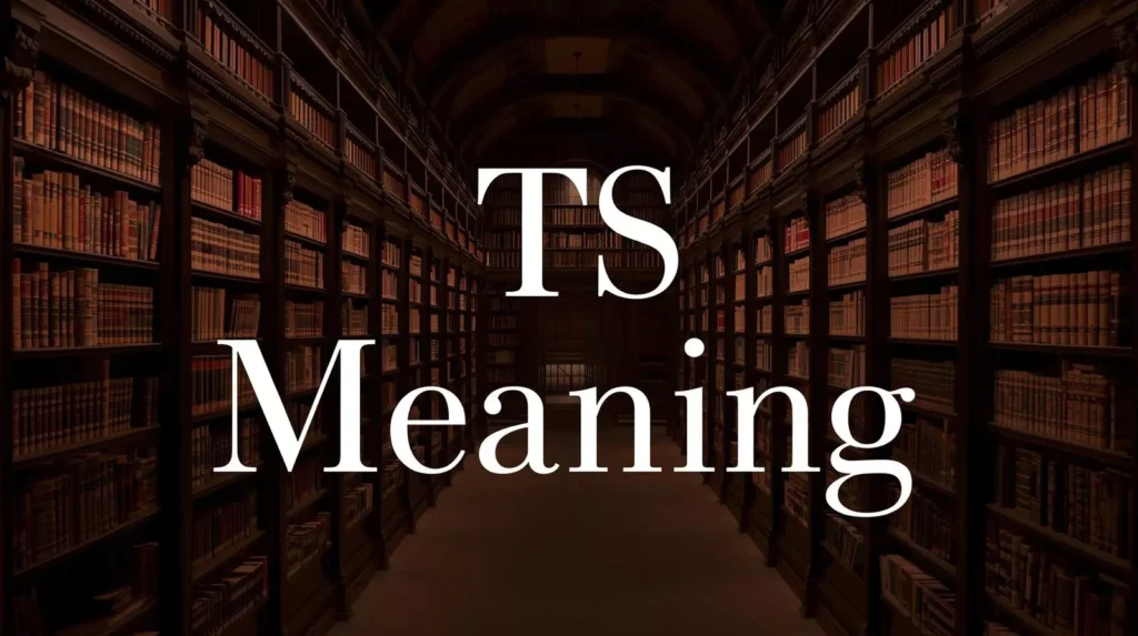 TS Meaning In Text