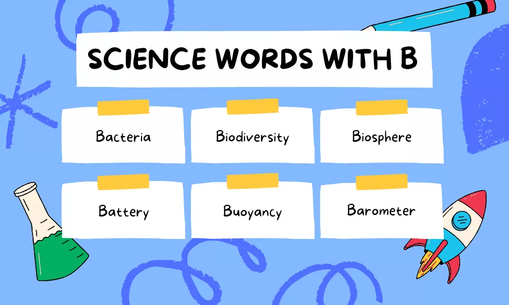 B Science Words