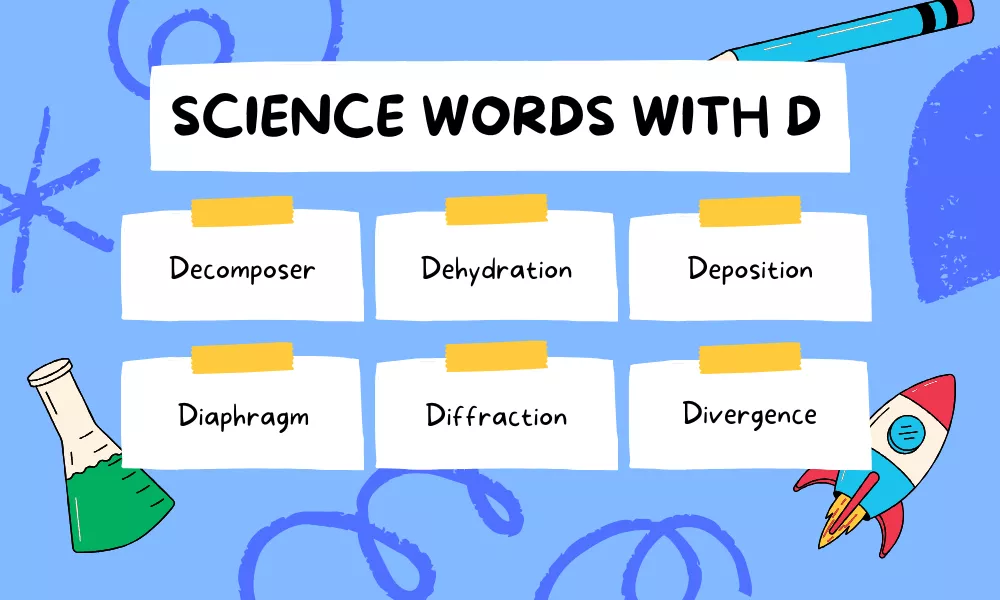 D Science Words