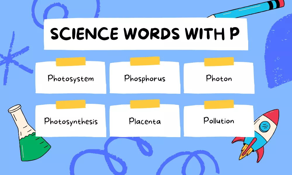 P Science Words P Science Words
