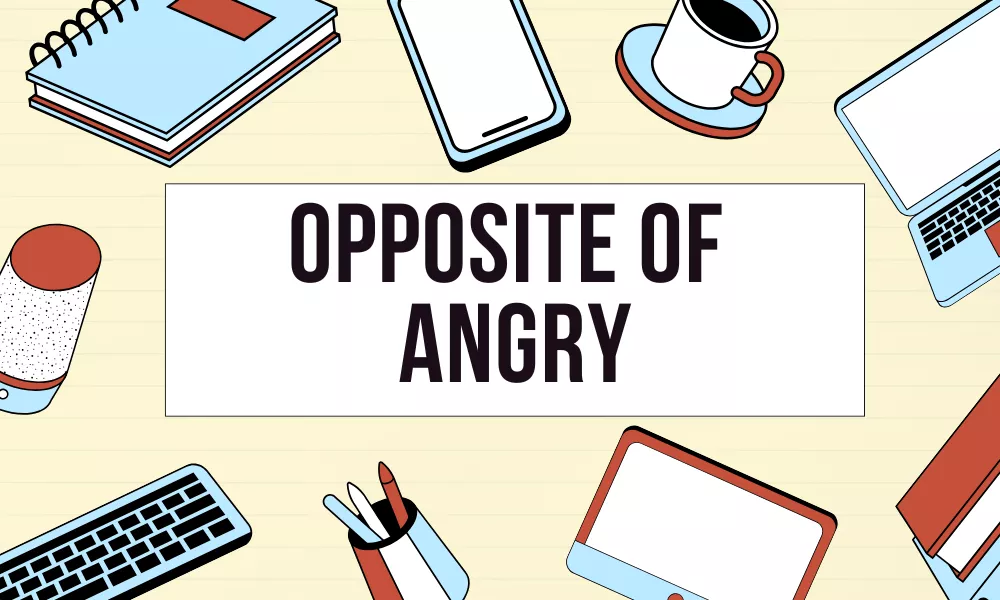 Angry Antonyms