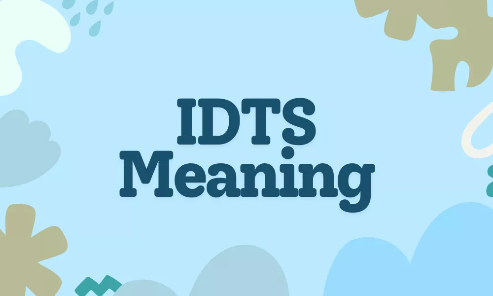 IDTS Meaning