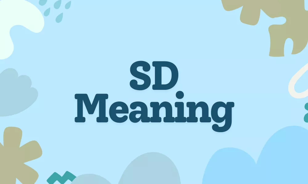 SD Meaning