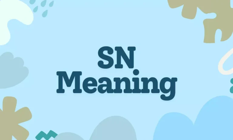 SN Meaning
