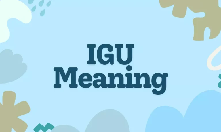IGU Meaning