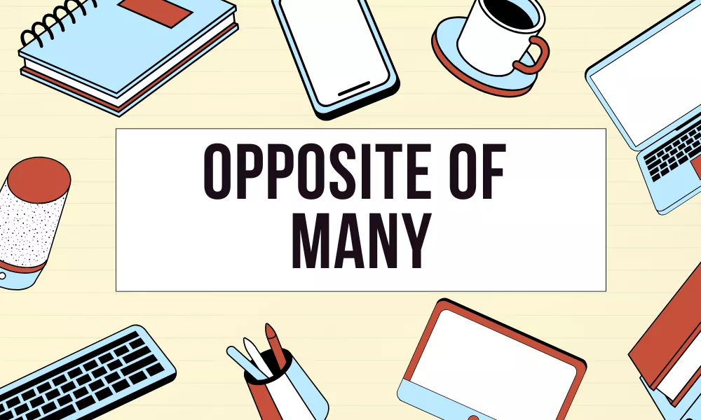 Many Opposite Word