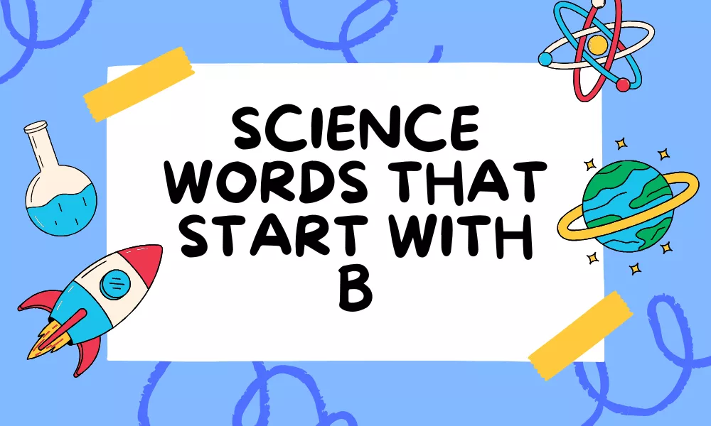 Science Words With B