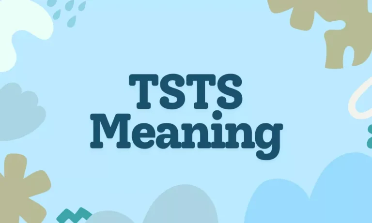TSTS Meaning in Text – Uses, Examples, and Chat Slang Explained 6 TSTS Meaning