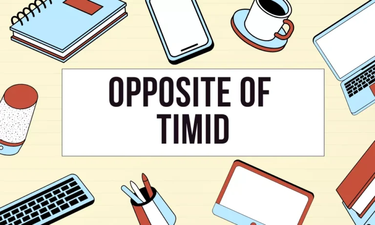 Timid Opposite Word