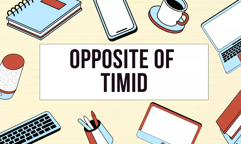 Opposite of Timid: Antonyms With Description And Example 1 Timid Opposite Word