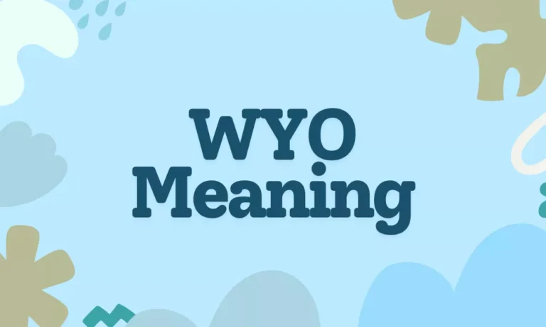 WYO Meaning